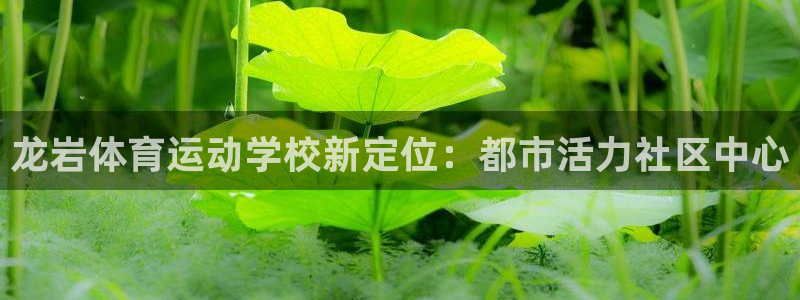杏鑫体育用品