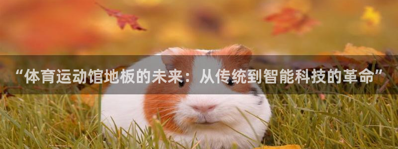 杏鑫集团股票