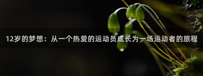 杏鑫体育