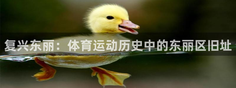杏鑫集团总部