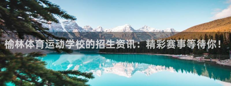 杏鑫股份