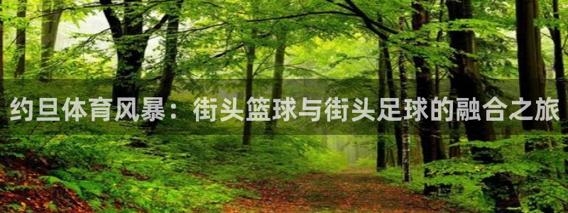 杏鑫体育用品