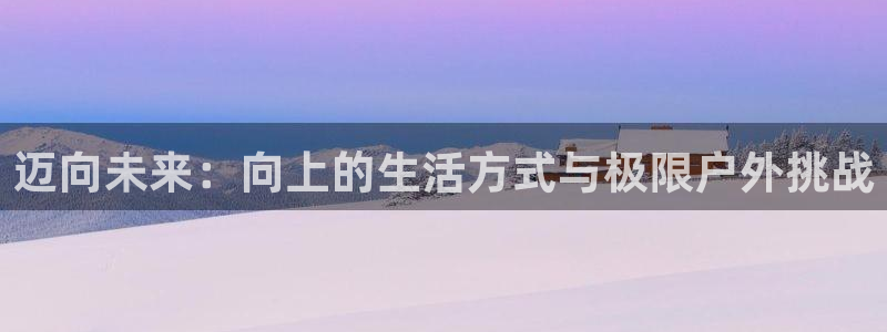 成都杏鑫电子有限公司