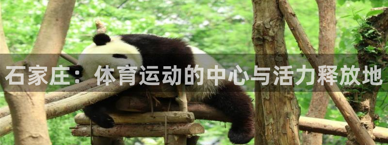 杏鑫体育合法嘛
