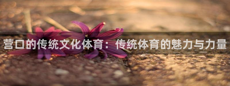 杏鑫体育用品