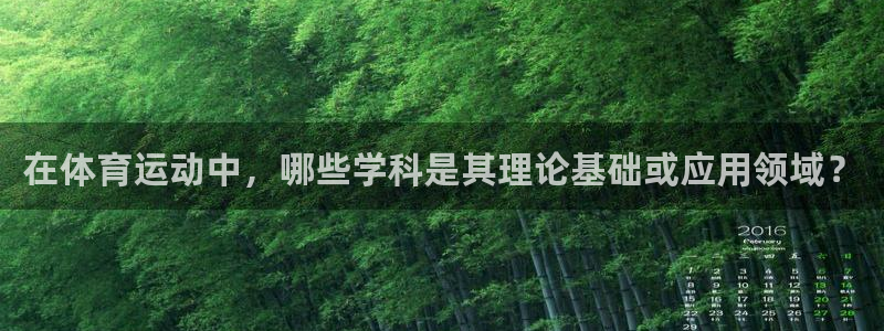 杏鑫包怎么样