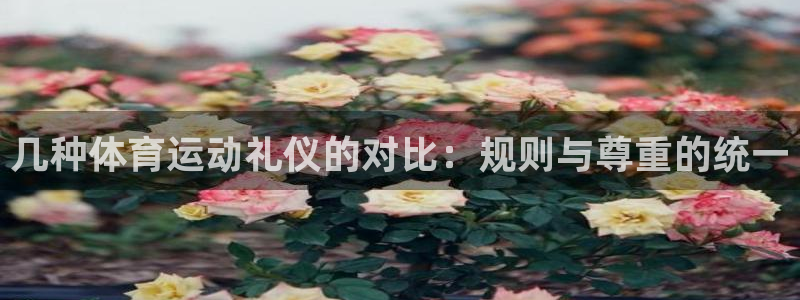 杏鑫官网