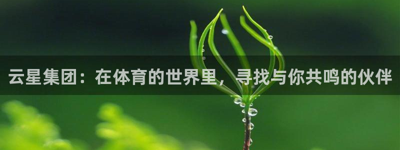 意昂5注册