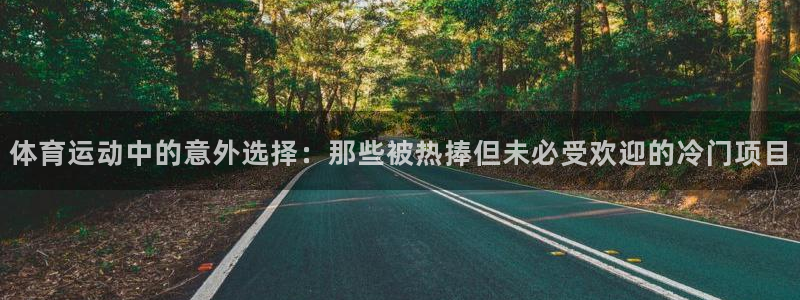 杏鑫集团