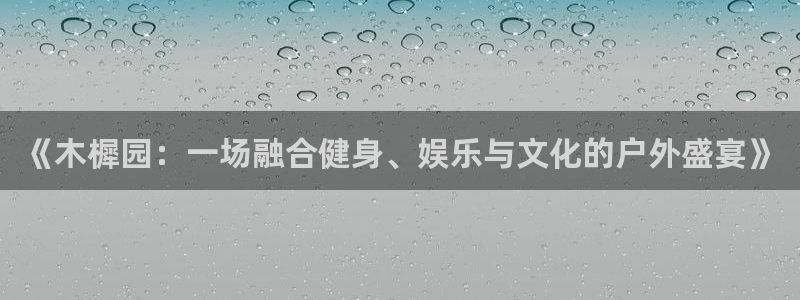 杏鑫5