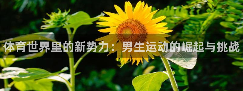 杏鑫3平台登录注册