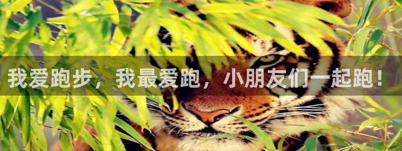 杏鑫3平台登录注册