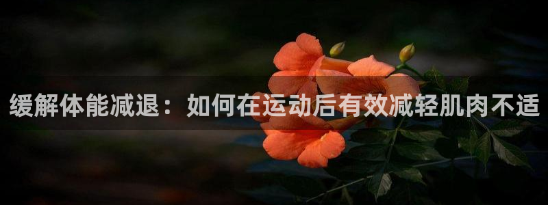 意昂5注册